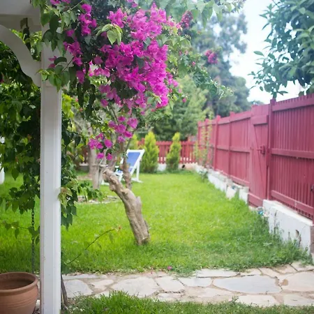 Bed & Breakfast Ayl-inn *