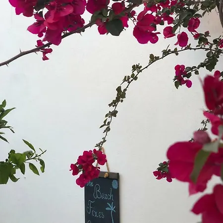 Ayl-inn Bed & Breakfast Datça