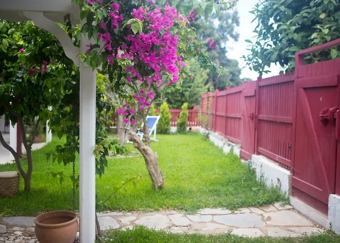 Bed & Breakfast Ayl-inn *