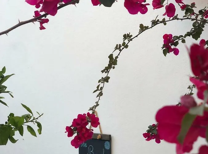 Ayl-inn Bed & Breakfast Datça